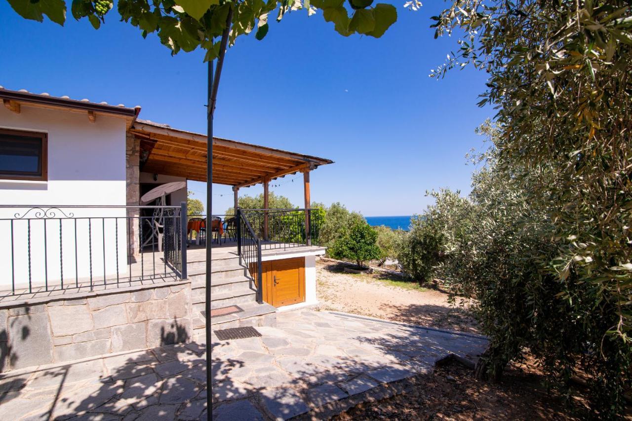 Archodissa Villa Thimonia Dış mekan fotoğraf