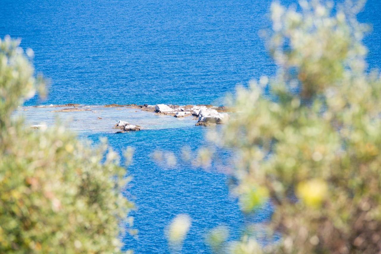 Archodissa Villa Thimonia Dış mekan fotoğraf